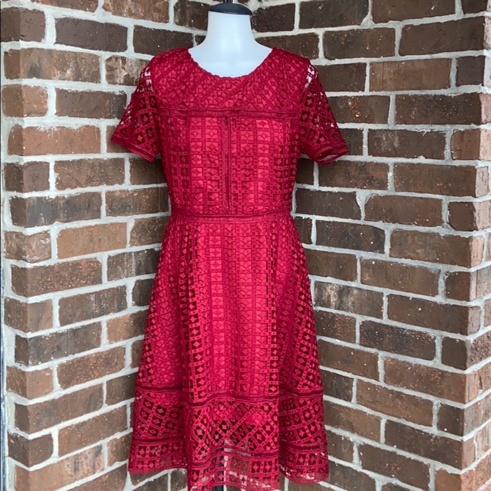 Cupcakes and Cashmere dress new with tags ❤️